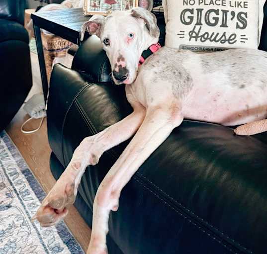 Photo of Lilly