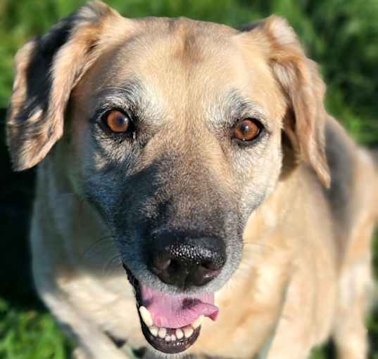 Photo of Meggie