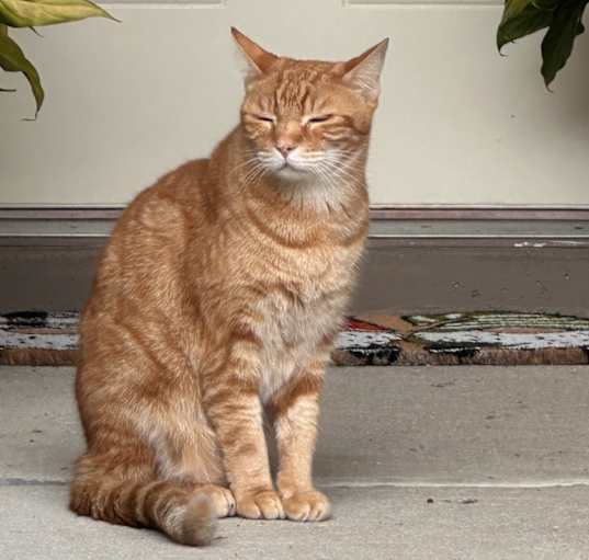 Photo of Gordo