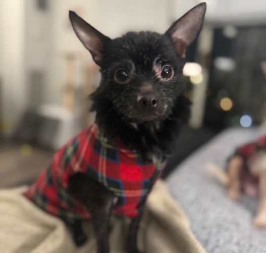 Photo of Lexi