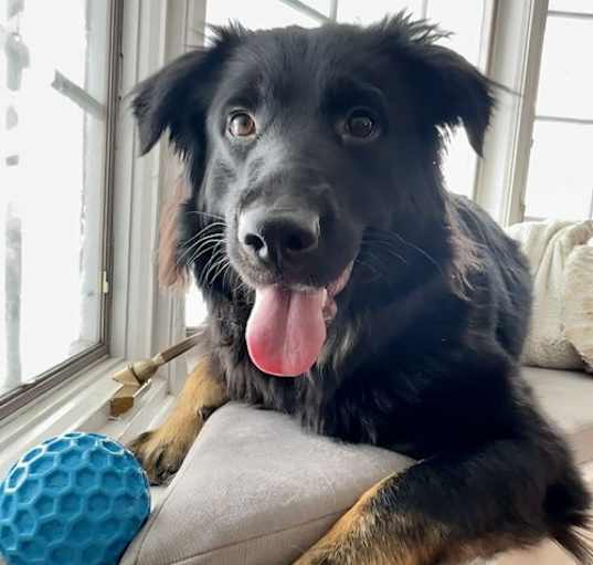 Photo of Osa