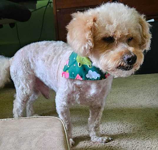 Photo of carl