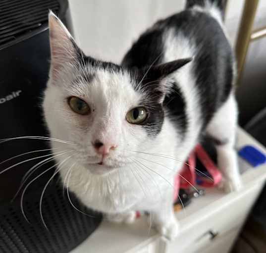 Photo of Pinky