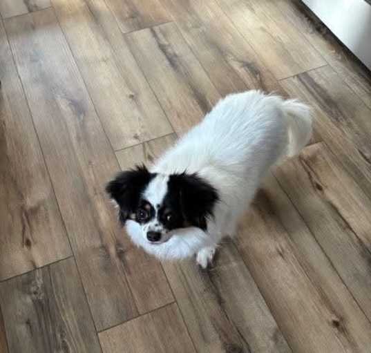 Photo of Harper