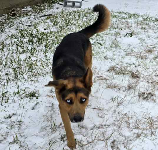 Photo of Soju