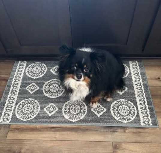 Photo of Levi