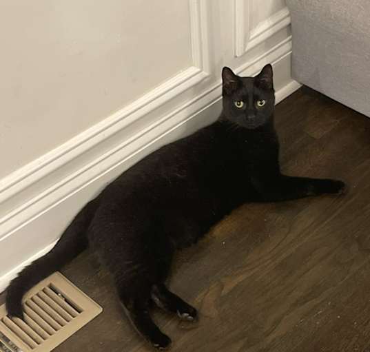 Photo of Bit