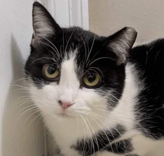 Photo of Peggy