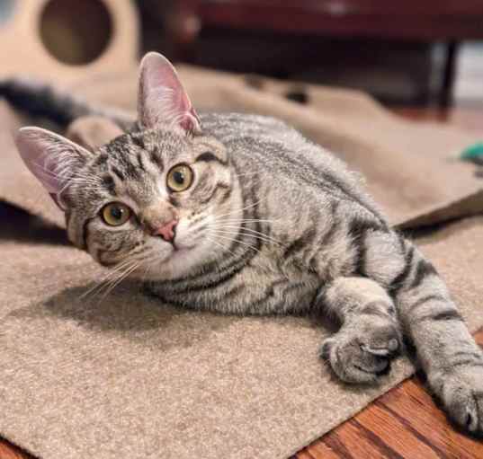 Photo of Charlie