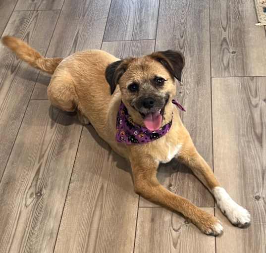 Photo of Tilly