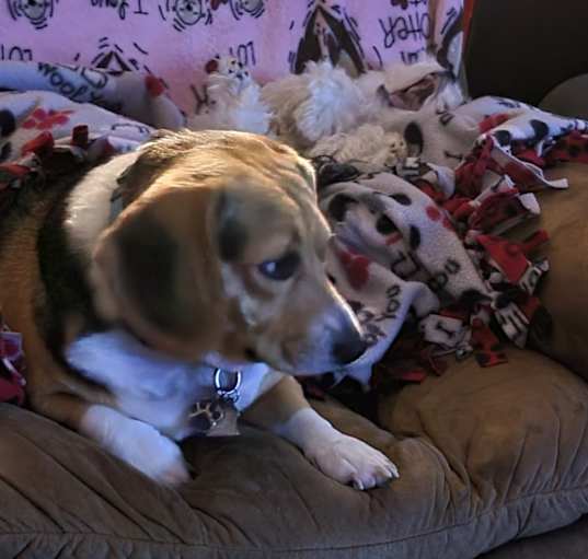 Photo of Sasha
