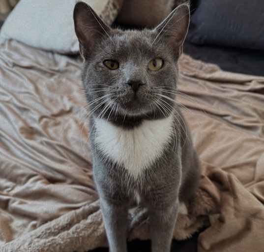 Photo of Popeye