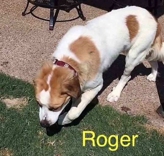 Photo of Roger