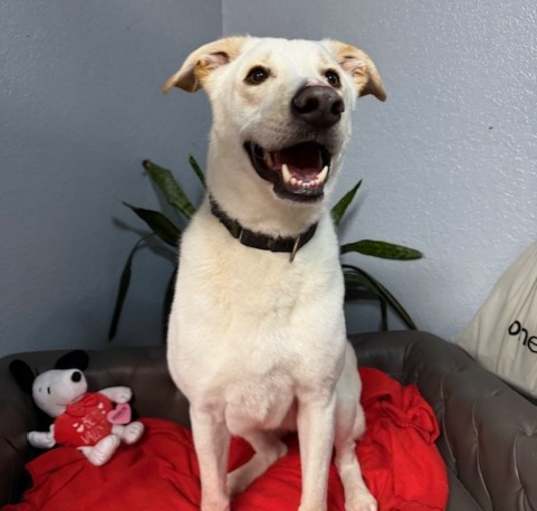 Photo of Ace Smiley