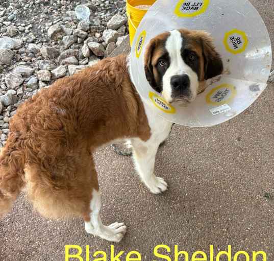 Photo of Blake Shelton