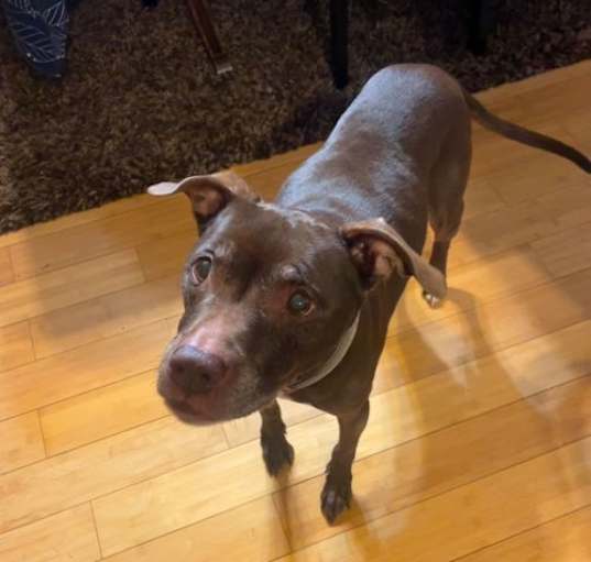 Photo of Luna