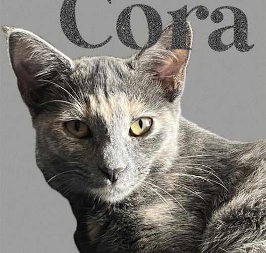 Photo of Cora