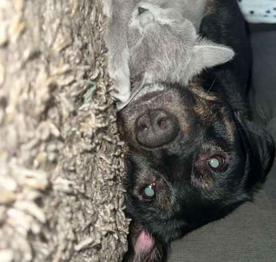 Photo of Skye