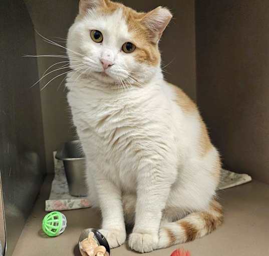 Photo of TICKY