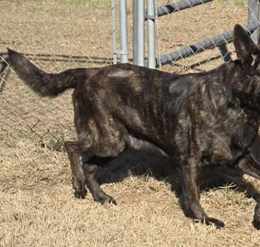 Photo of Zeus