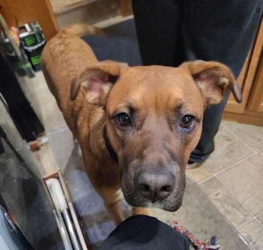 Photo of Nala