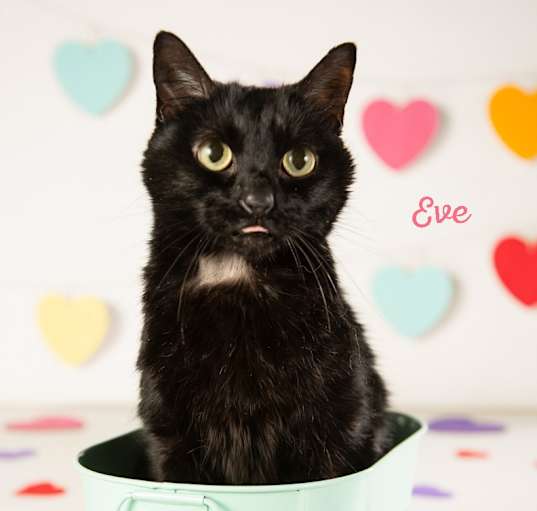 Photo of Eve