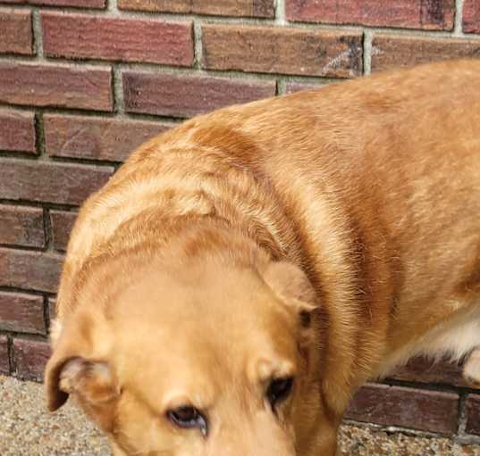 Photo of Riggs