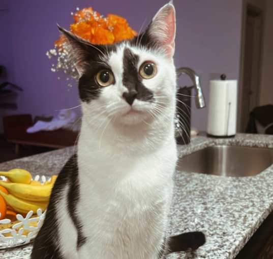 Photo of Lulú
