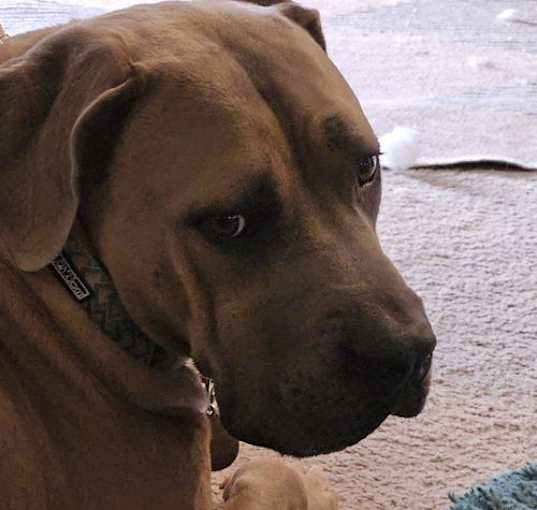 Photo of ZEUS #17