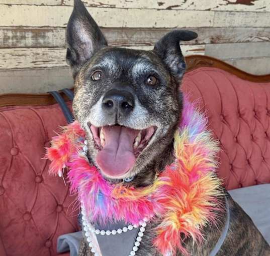 Photo of Coco Chanel