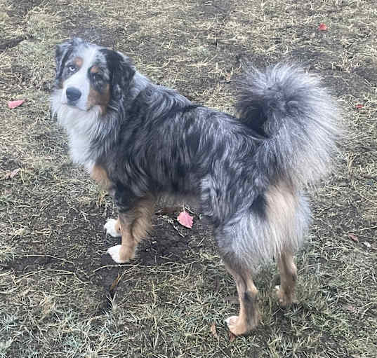 Photo of Skye