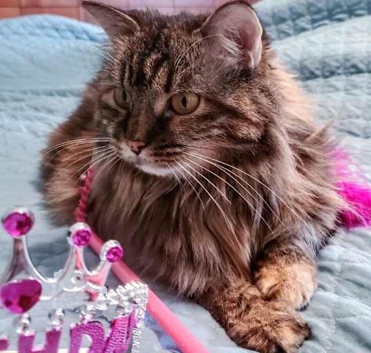 Photo of Elle 9489