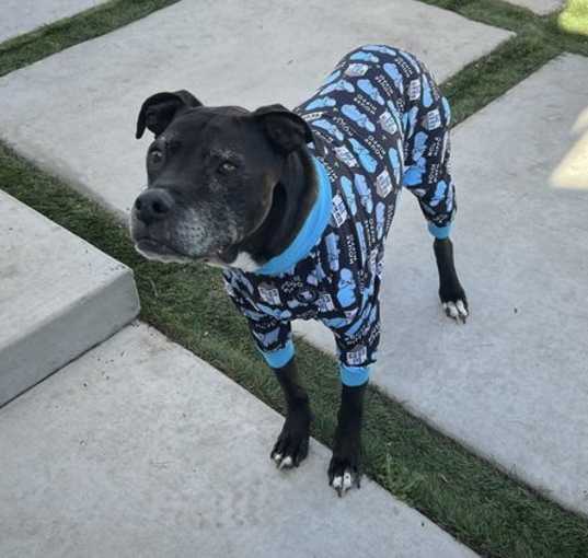 Photo of Skippy