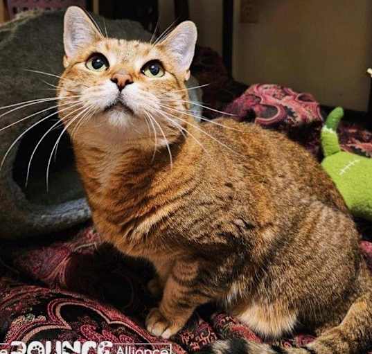 Photo of Punkin