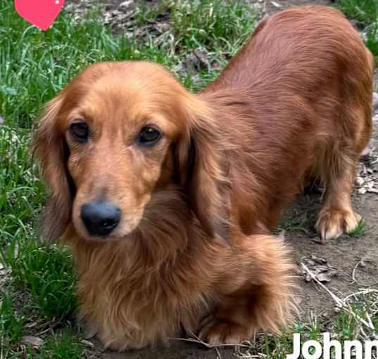 Photo of Johnny