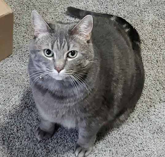 Photo of Luna