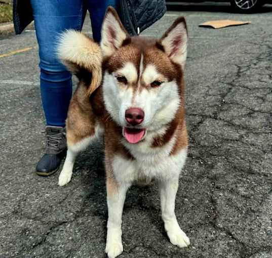 Photo of Betty