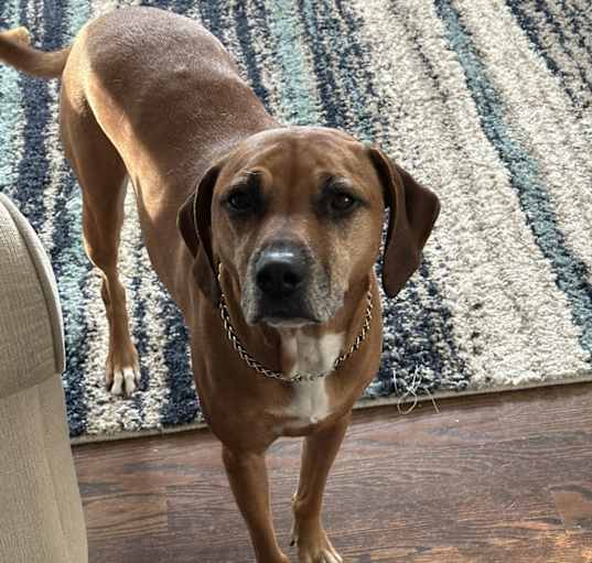 Photo of Ruby