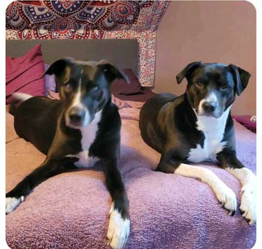 Photo of Sage & Willow Local