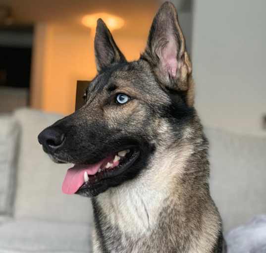 Photo of Major