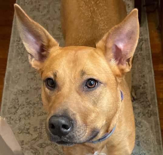 Photo of Tooty