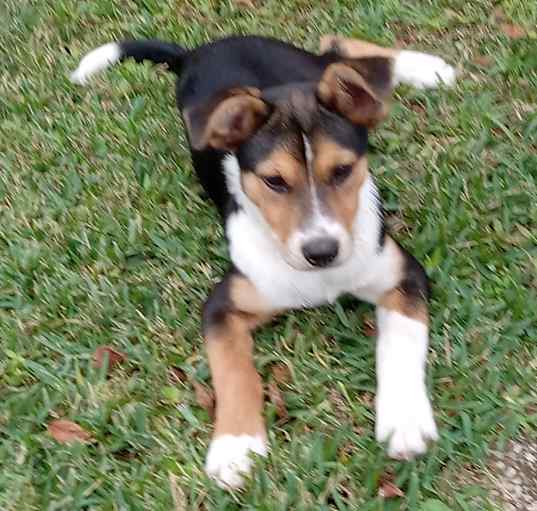 Photo of Trueno