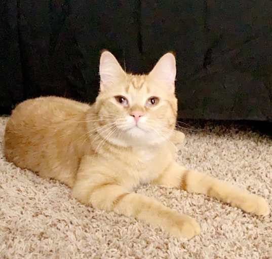 Photo of Teddy
