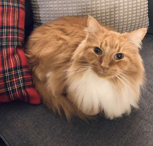 Photo of Leo