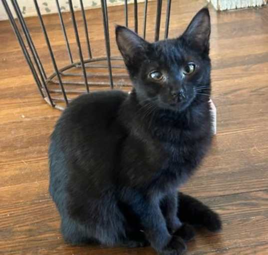 Photo of Tabitha