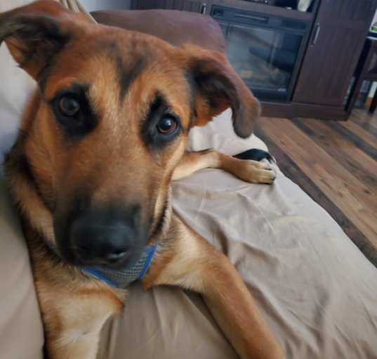 Photo of Jack