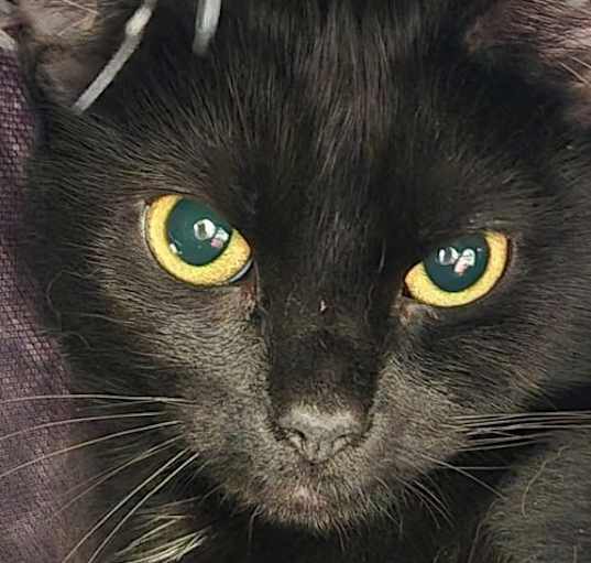Photo of Lil Bits