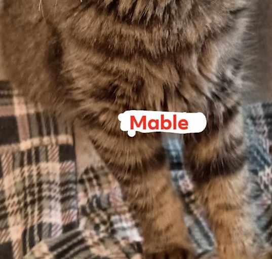 Photo of Mable