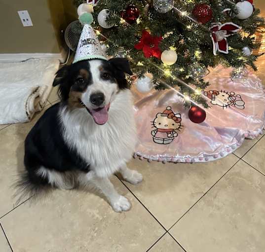 Photo of Astro