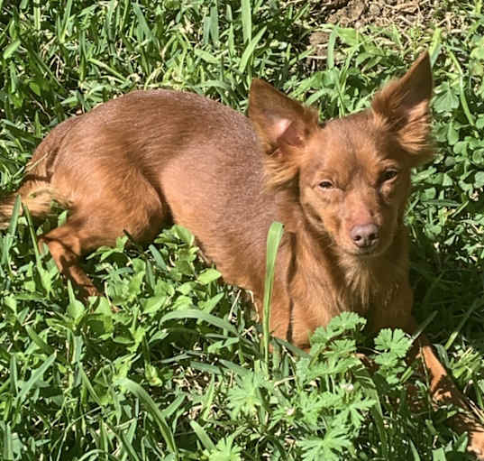 Photo of Danny